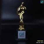 Strike Zone Hero Trophy