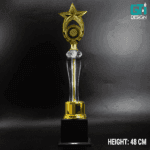 STARRY EXCELLENCE TROPHY