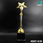 SHINING STAR ACHIEVEMENT AWARD TROPHY