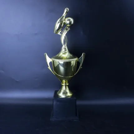 Spare Spectacle Trophy - bowling trophy and piala boling GT-i Design Malaysia