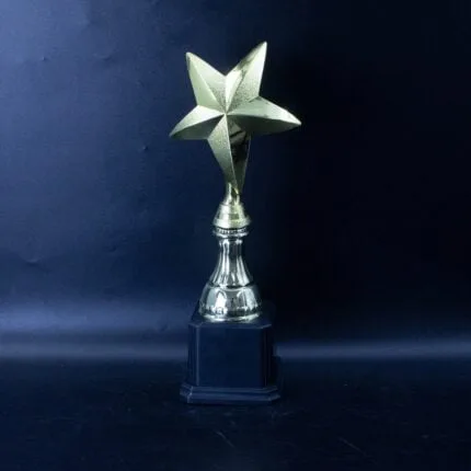 Star Award Midrange Trophy - value trophy and piala mampu milik GT-i Design Malaysia