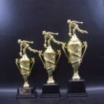Men Bowling Award Trophy