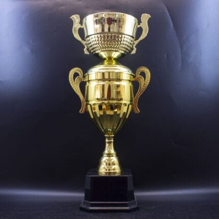 Metal Cup Trophy 9