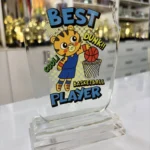 Custom Design Example 6