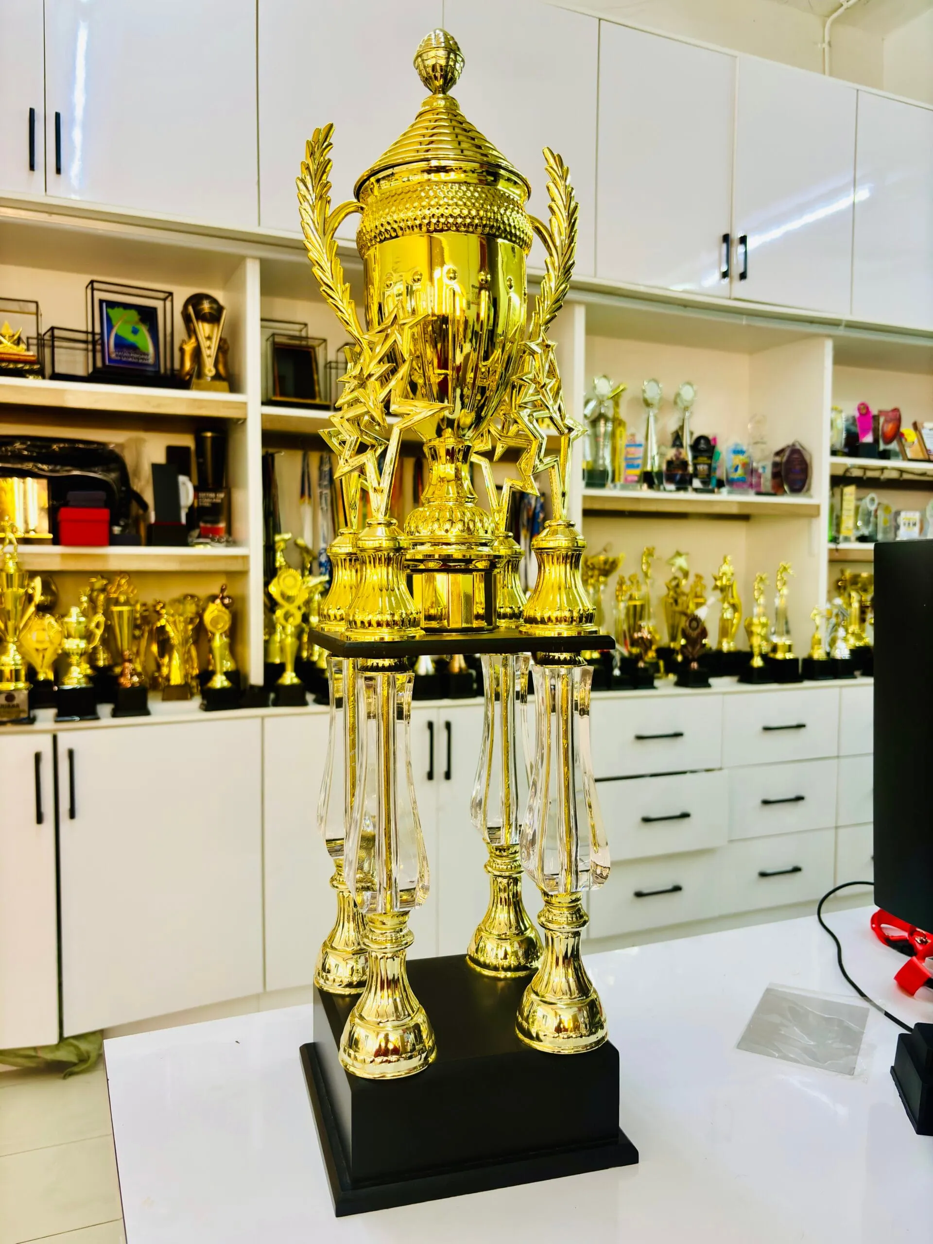 IMG_0564-scaled.webp 4 Multi-tiered Trophy 3 - Image 1