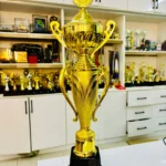 AWARD FIRE 2 L2RC01