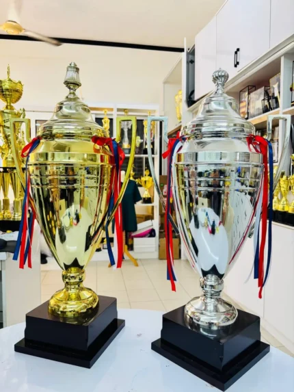 Metal Cup Trophy 11
