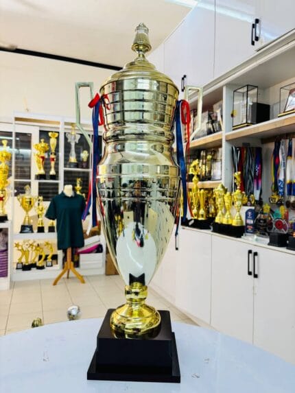 Metal Cup Trophy 12