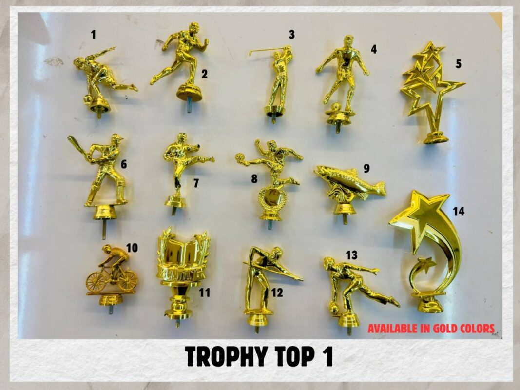 6138793135971616913 (1)