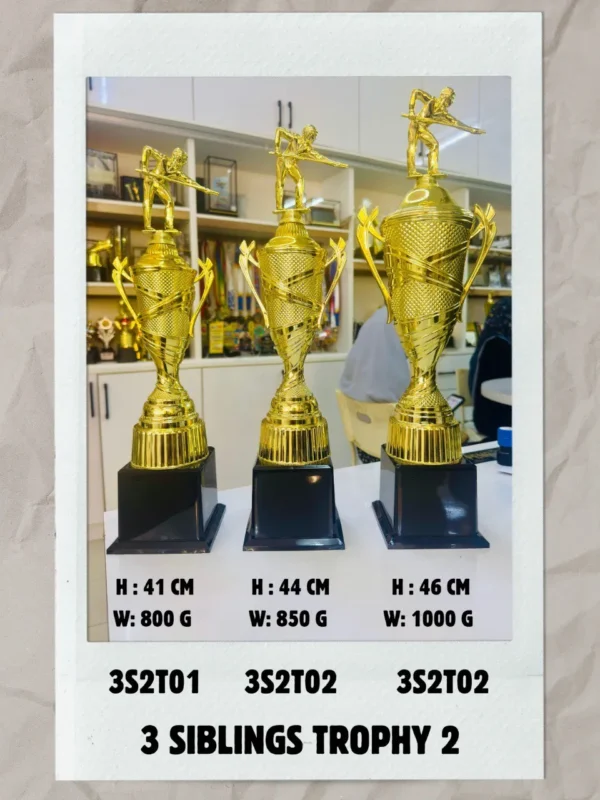 6242242706105549745-1.webp