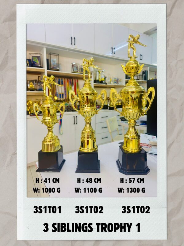 6242242706105549746 (1)