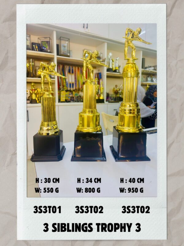 6242242706105549750 (1)