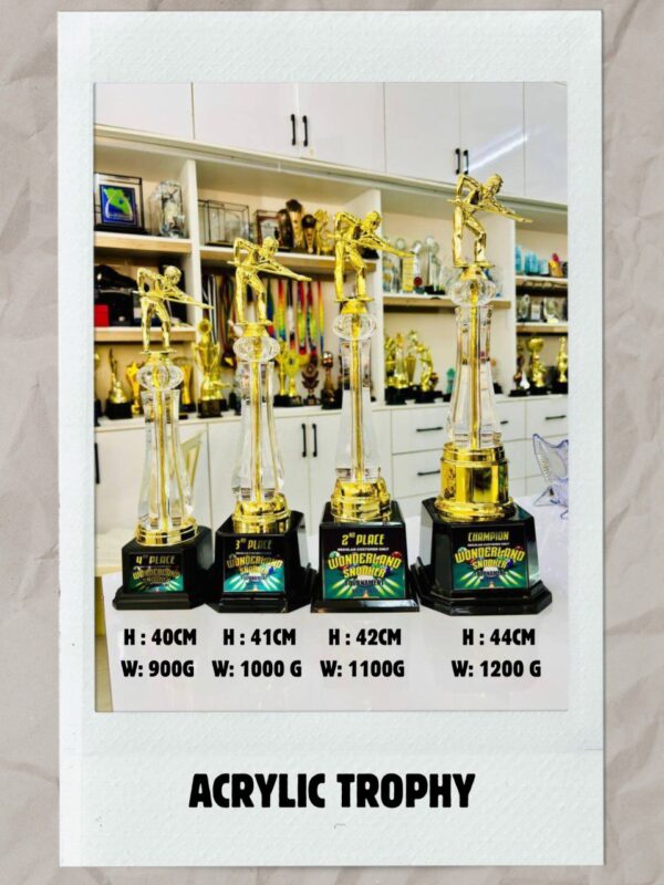 6319013661678616997 (1)