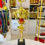 MARTIAL ART FRONT KICK L2RC04 CROWN