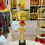 AWARD 35 L2RC04 CROWN