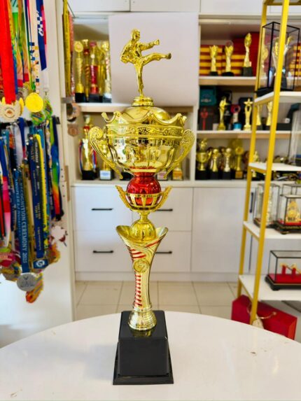 MARTIAL ART FRONT KICK L2RC04 CROWN