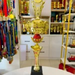 AWARD 33 L2RC04 CROWN