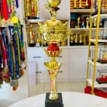 VOLLEYBALL /  NETBALL L2RC04 CROWN
