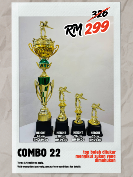 Combo 22