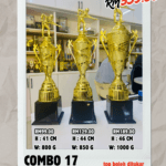 Combo 17